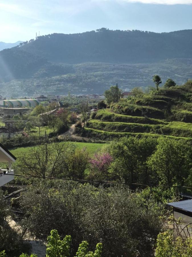 Villa Rexho Berat Exteriér fotografie