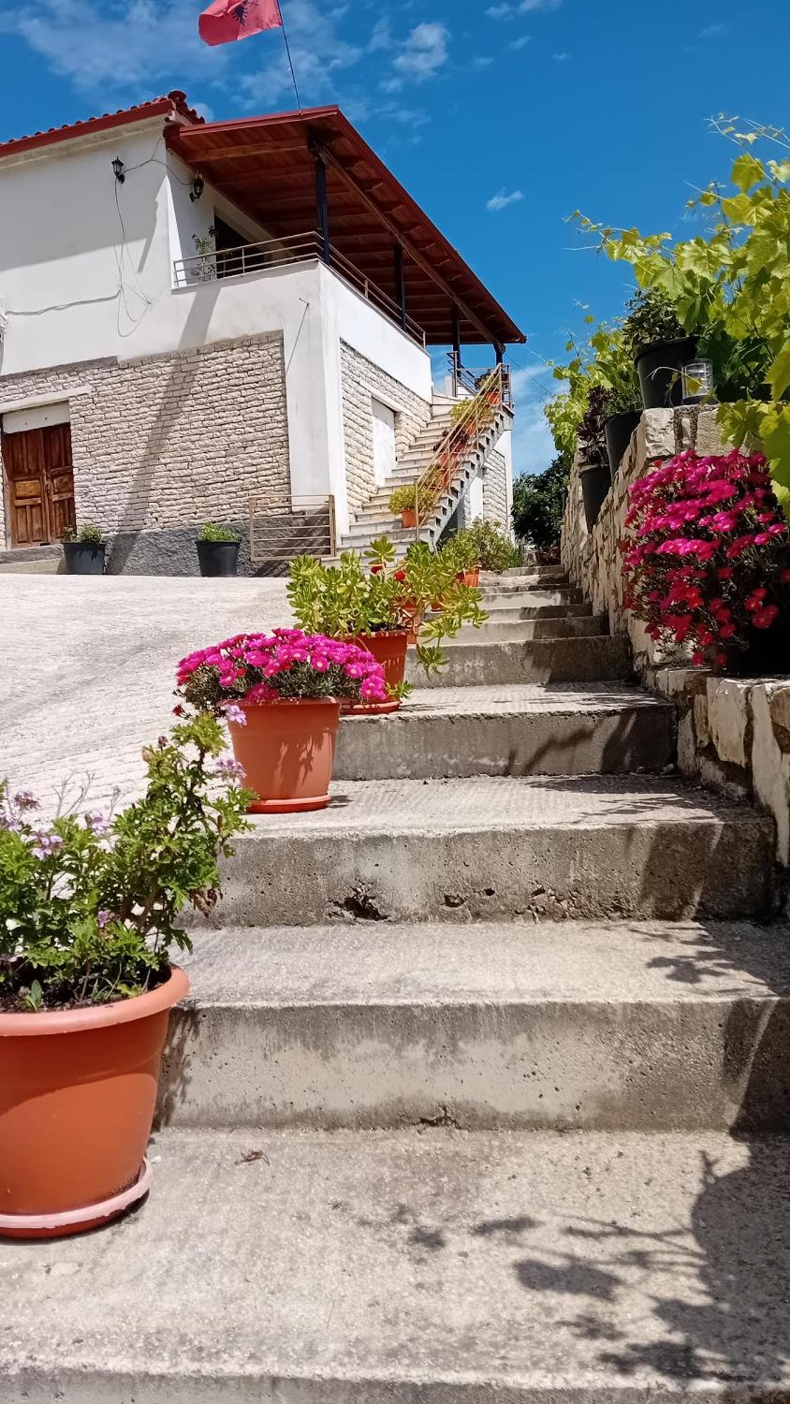 Villa Rexho Berat Exteriér fotografie
